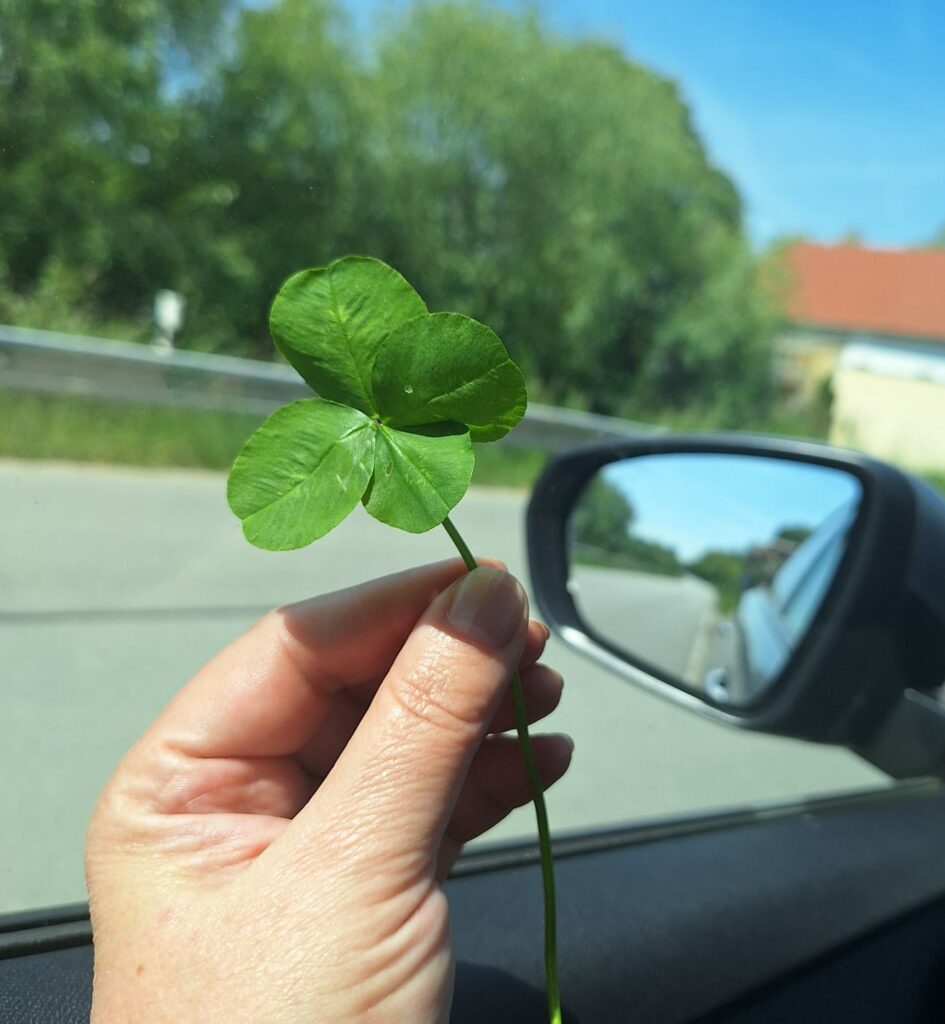 ek-mediace.cz ~ rodina ~ změna ~ růst ~ seberozvoj ~ Mgr. Eva Králová ~ mediace ~ koučink ~ facilitace ~ Brno